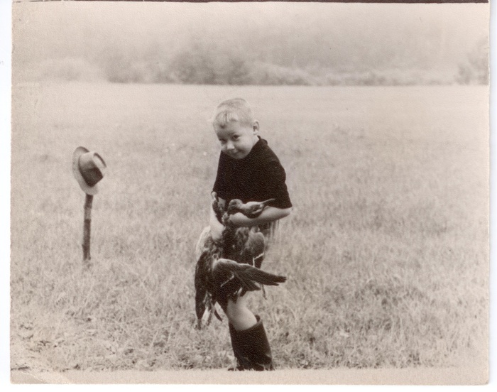 ��������� ����