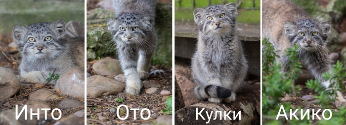 Ещё совсем малыши