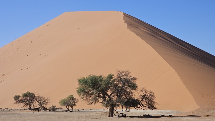 Namibia. Big Daddy Dune