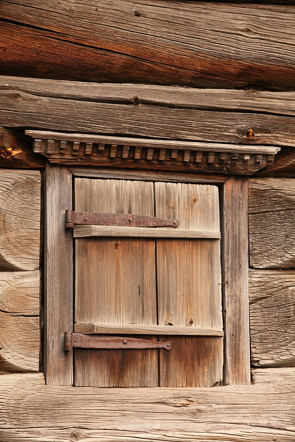    . .    .    :  . XVII ". ,     -  "" -       .