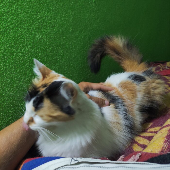 ��� �������� - ��� ������ (: