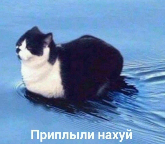 Примерно в этот момент времени своей жизни я связался с антидепрессантами, неудачно. Кому интересно про то, что такое синдром отмены от Кветеапина - могу написать отдельный пост.