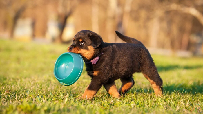 Когда отправляешься в поход — не забудь взять самое важное.