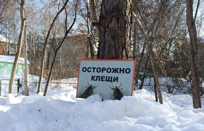 Какой ужас! Эти клещи настолько выросли, что готовы сожрать даже табличку!