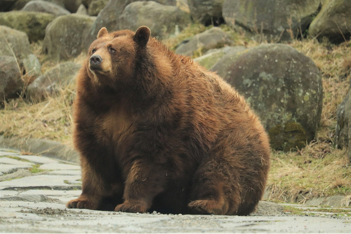 Ну всё, к зимовке готов!
