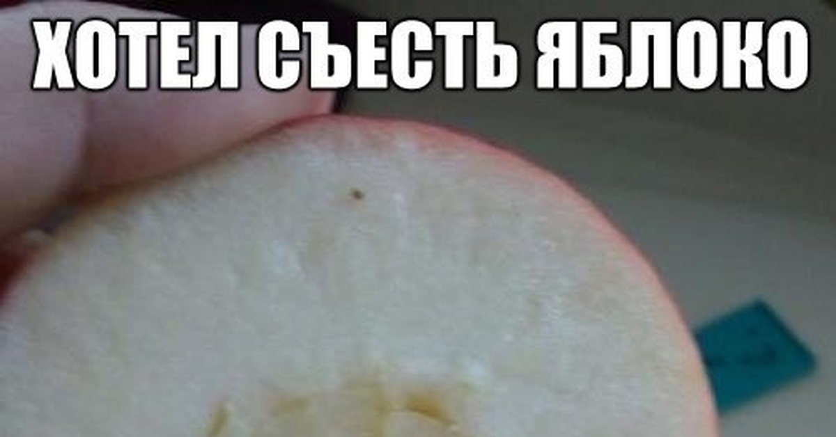 Хотел | Пикабу