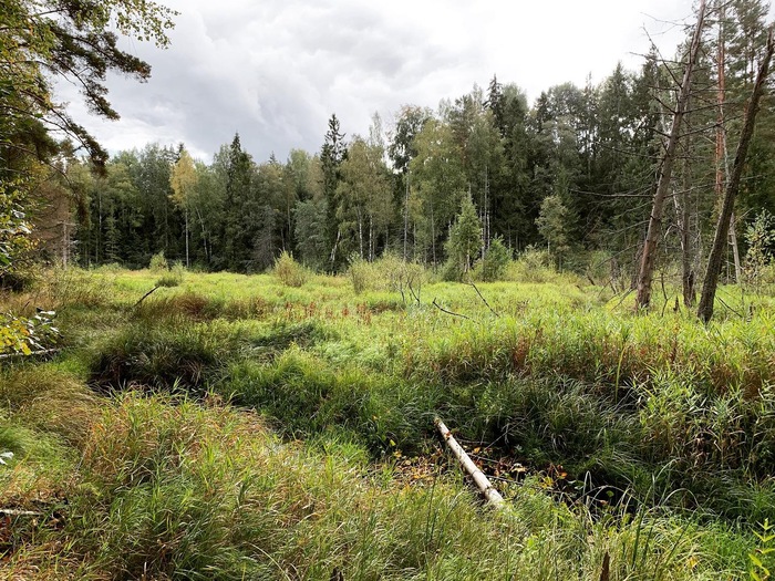 ��������.