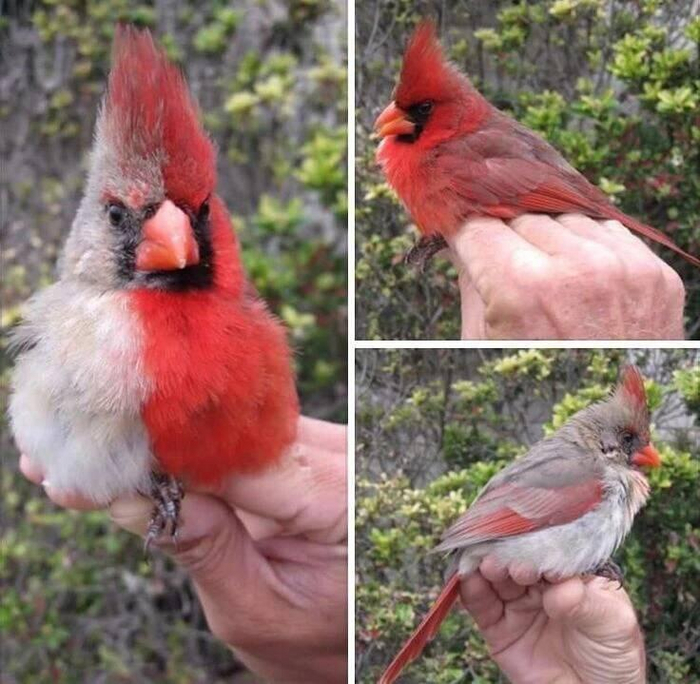 Чего смотришь? Я ещё не накраси(лся/лась).