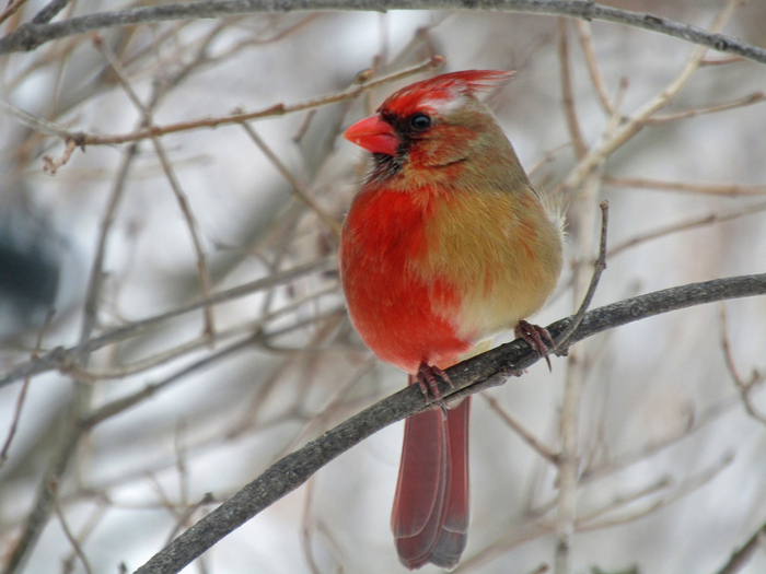 Когда проспал на работу и оделся в первые попавшиеся на глаза вещи.