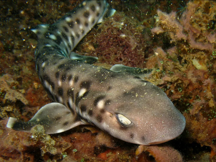 Эй, камеру выруби, ты мне охотиться мешаешь!