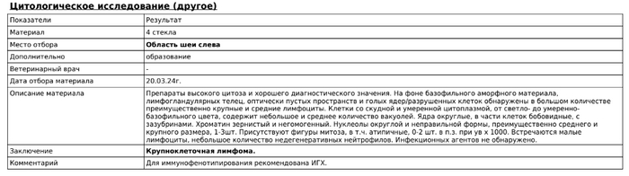  .     ,    ?      +      . 