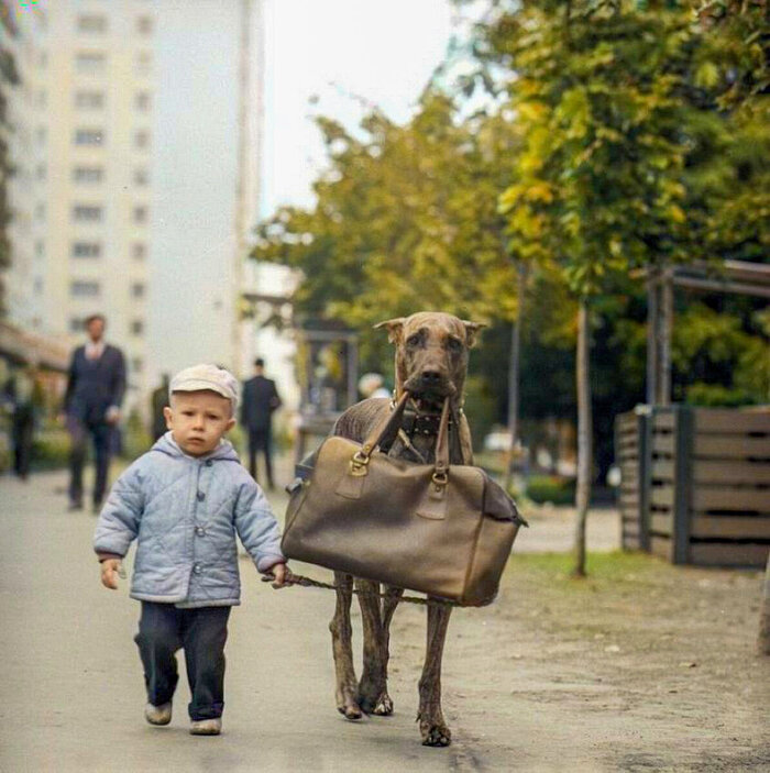 ��������: ����� ������