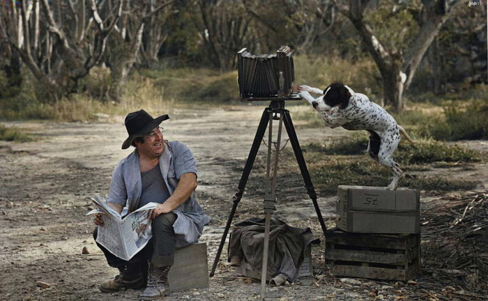 ��������: ����� ���� �����