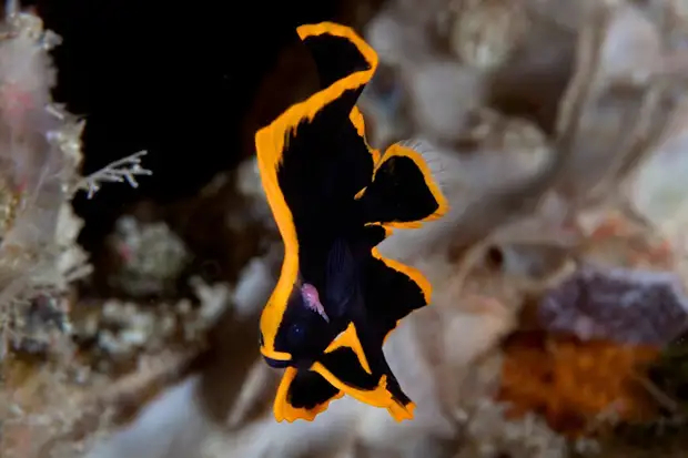 Ты не видел меня, я не видел тебя. Договорились?