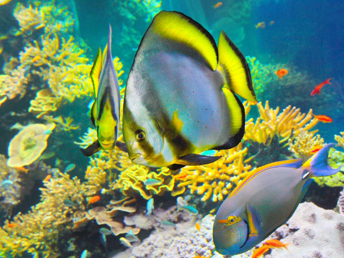 Зовите, если ещё что-то нужно будет съесть.