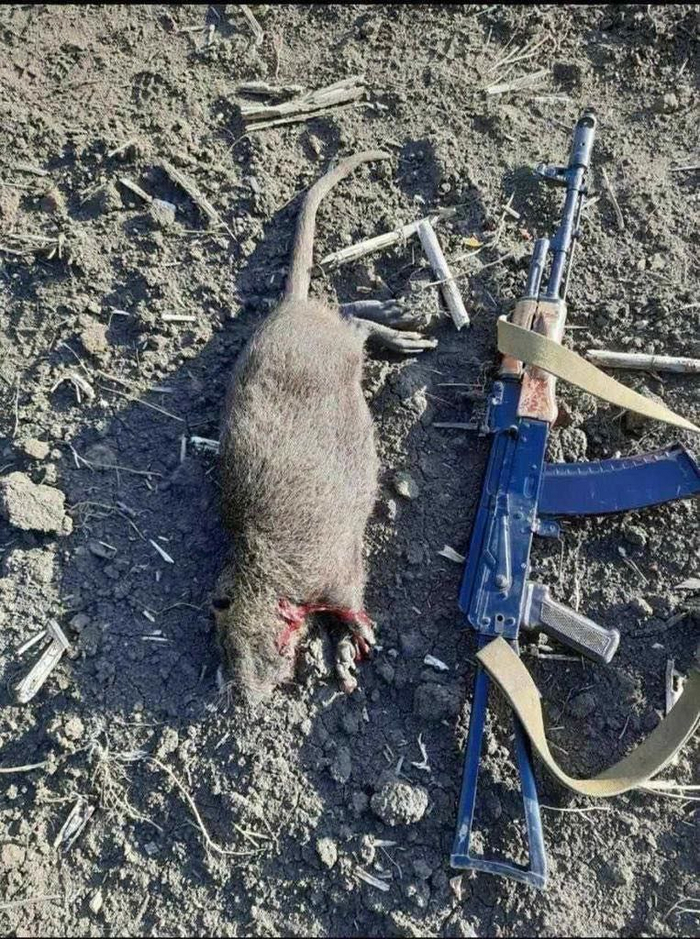 Под Авдеевкой