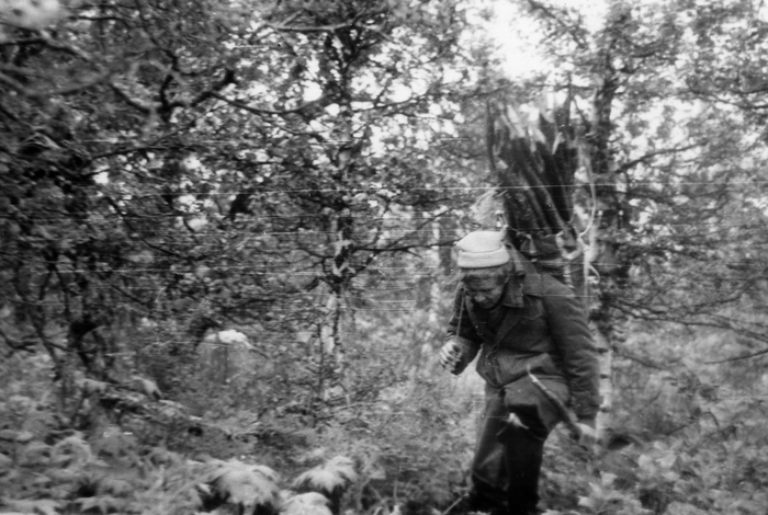 Андрей с вешками бредёт по горному криволесью.