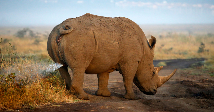 Под такой дождь попасть бы не хотелось...