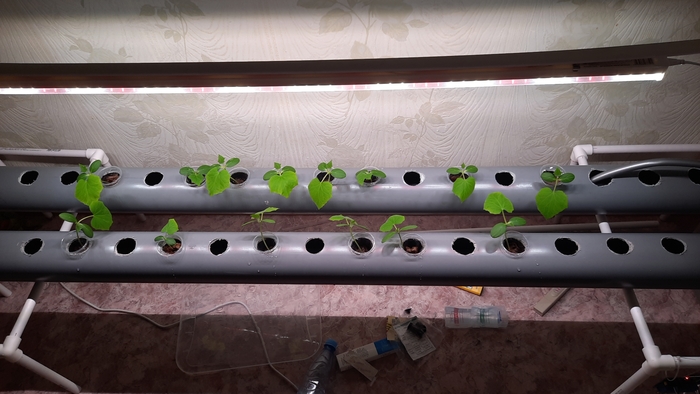 15�� ����)