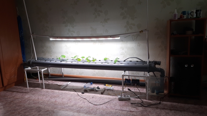 ��� �������� ��� ���� 😅