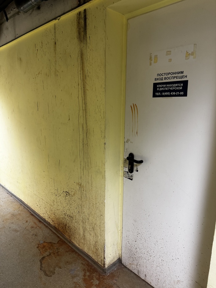 Ой…. Кажется зря мы мы сюда зашли 😬