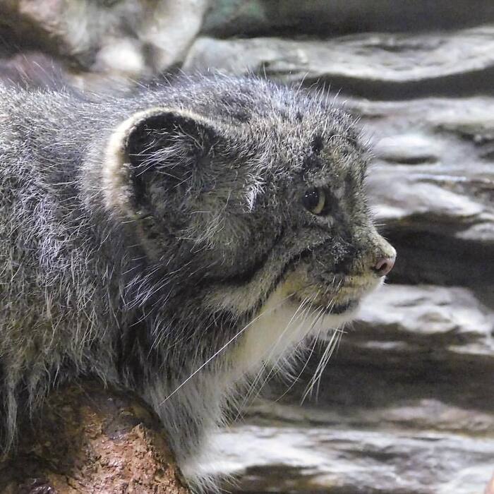 �� � � ������ ����)))