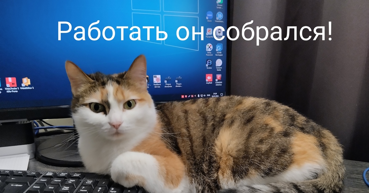 Невыносимые условия | Пикабу