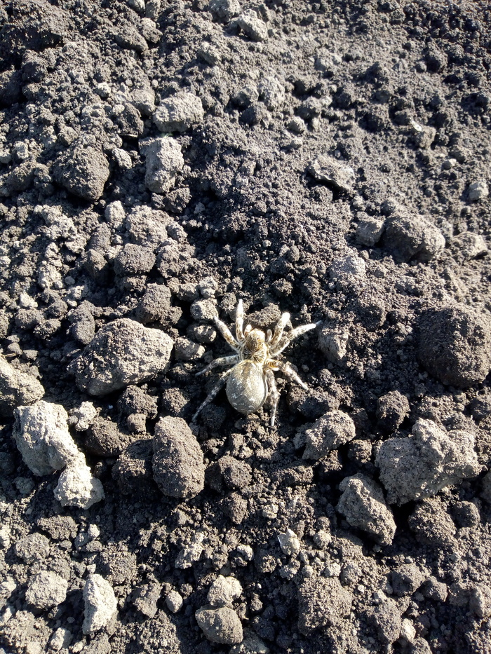 ����� � ����, ��������� ��������.