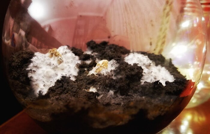 ����������� ������ � �������� ��������