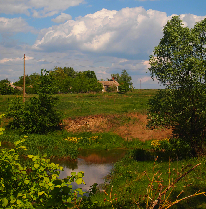 Фоторепортаж с прогулки