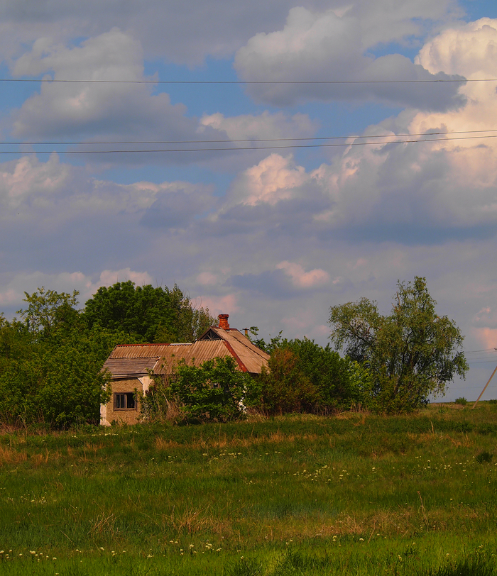 Фоторепортаж с прогулки