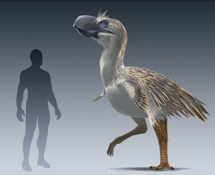 Когда завёл себе домашнего человека.