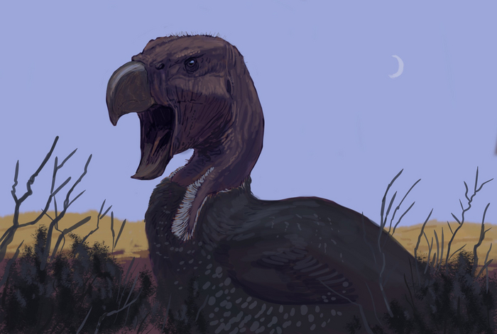 Чикен-тирекс миоценовой эпохи.