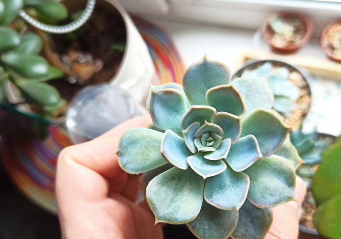 ��������� ����� ����������