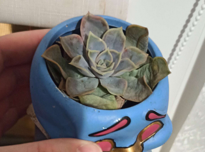 �� ����� �������� ��������� ������