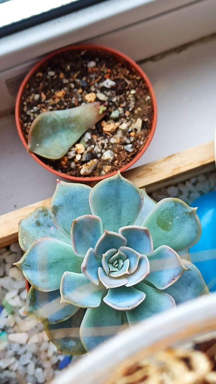 ������� ���� "� � ��� ������"