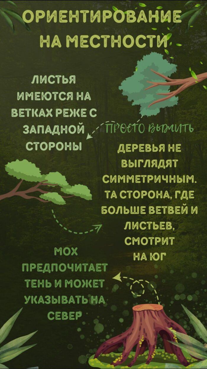    , ,   