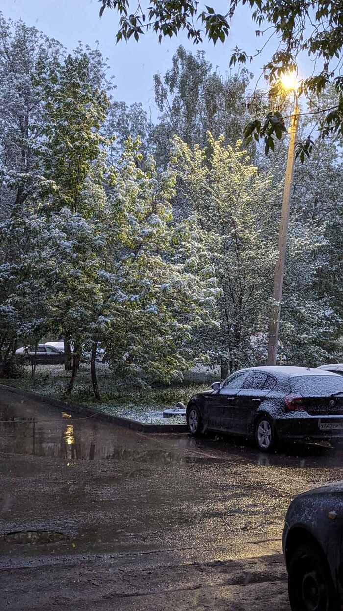 � ���� �� ���� � ������ ����� ����. 