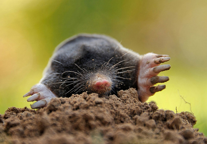 Сложно смотреть на глаза, которые не можешь увидеть...