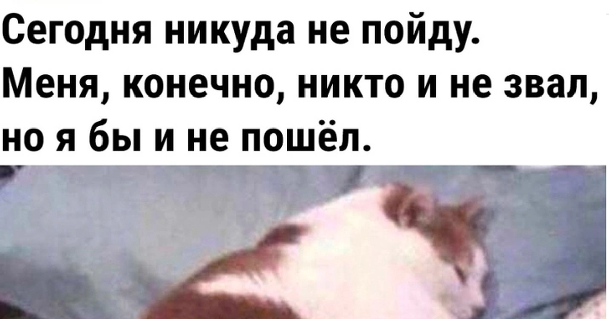 Штош Пикабу