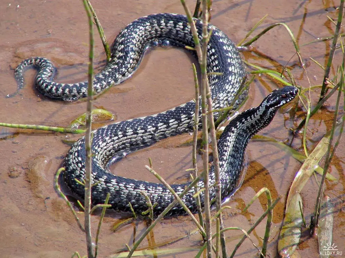 А сейчас убери камеру и медленно отходи назад.