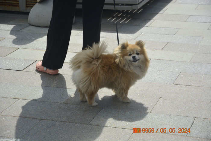 ������, �������!