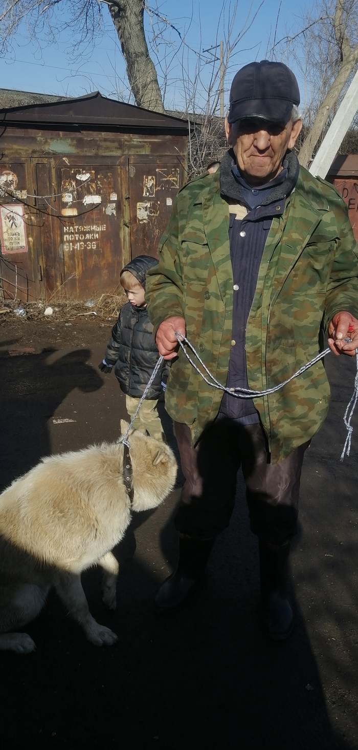 ������ ������� ����