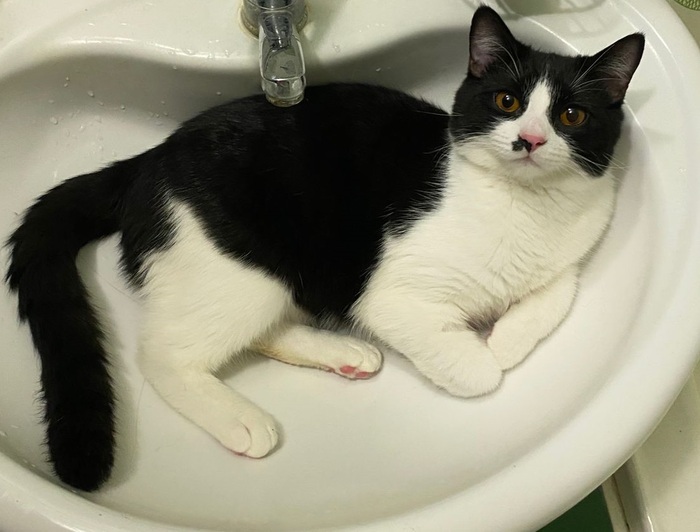    .  3  ,   6.         .