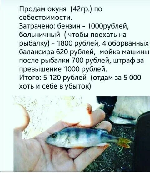 1715046909156599414.webp