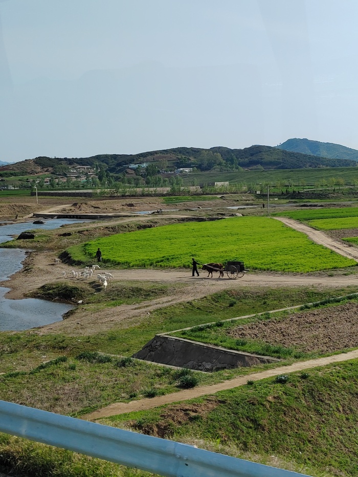 Как я побывал в КНДР, Пхеньяне Северная Корея, Пхеньян, Ким Чен Ын, Видео, Вертикальное видео, Длиннопост Как я побывал в КНДР, Пхеньяне Северная Корея, Пхеньян, Ким Чен Ын, Видео, Вертикальное видео, Длиннопост