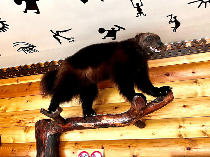     ,          .    ,   .