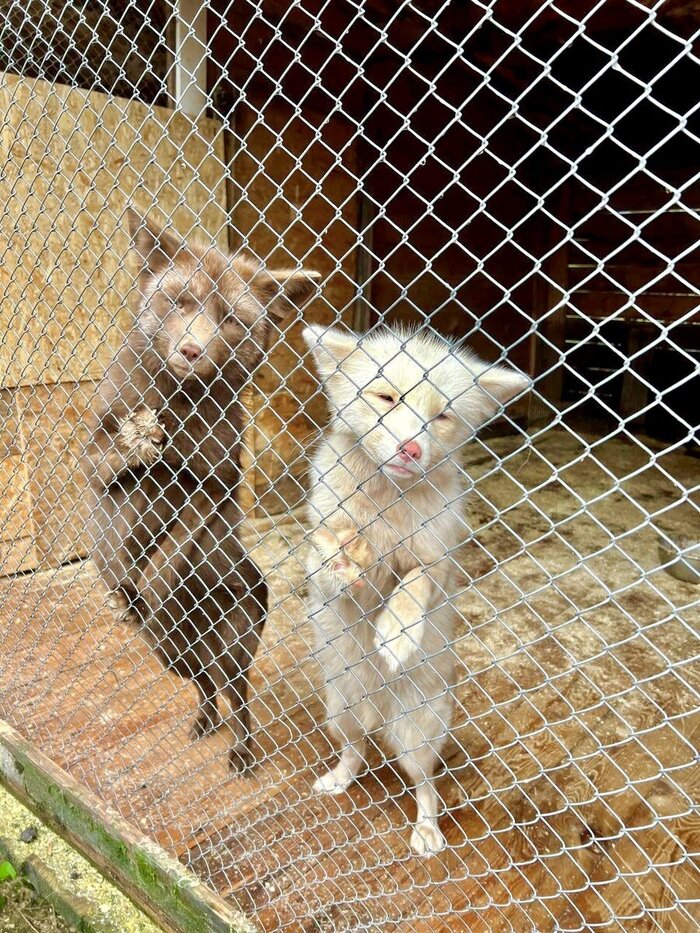      16   ,          .  ,    .