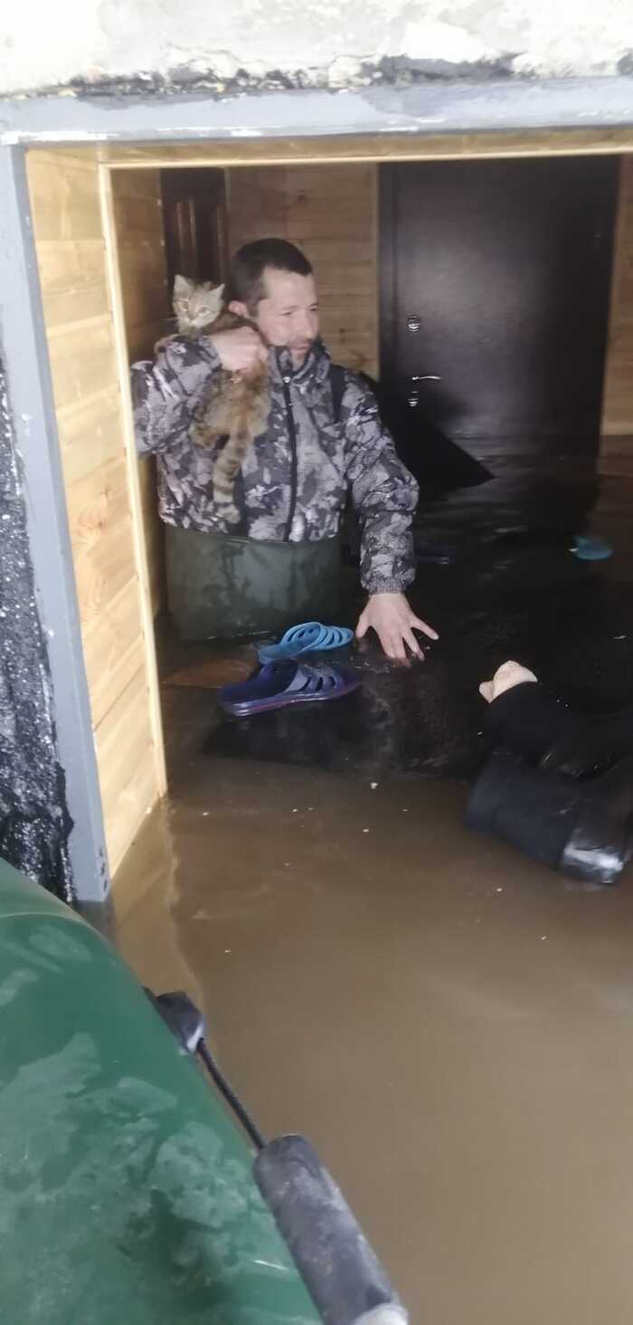 � ��� ����, � ��� ������ ���� � ����)