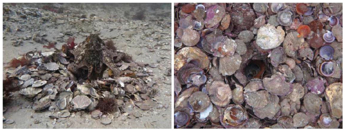 Дом человека, который только-только приехал с моря.